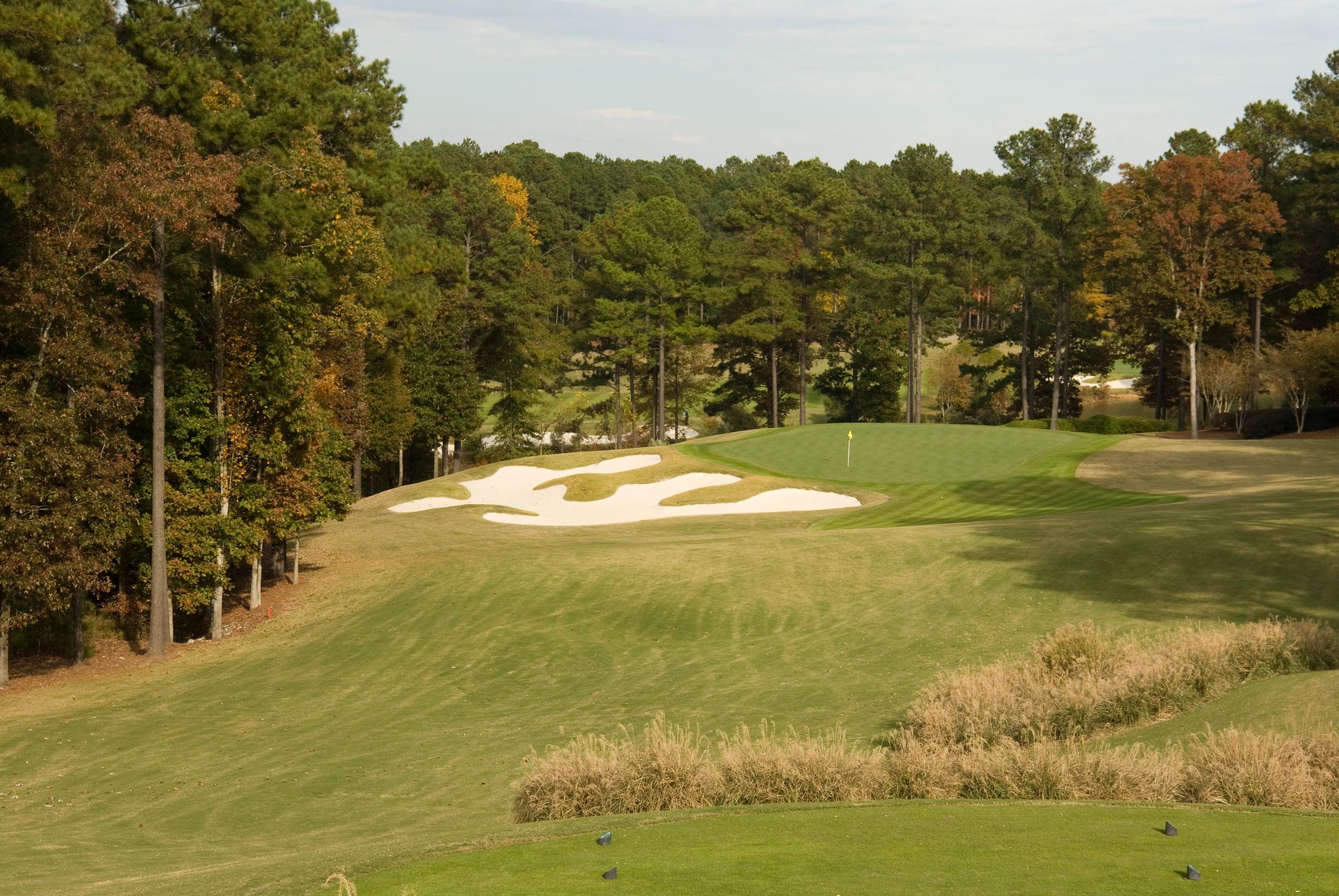 veteran golf training Georgia outdoors group