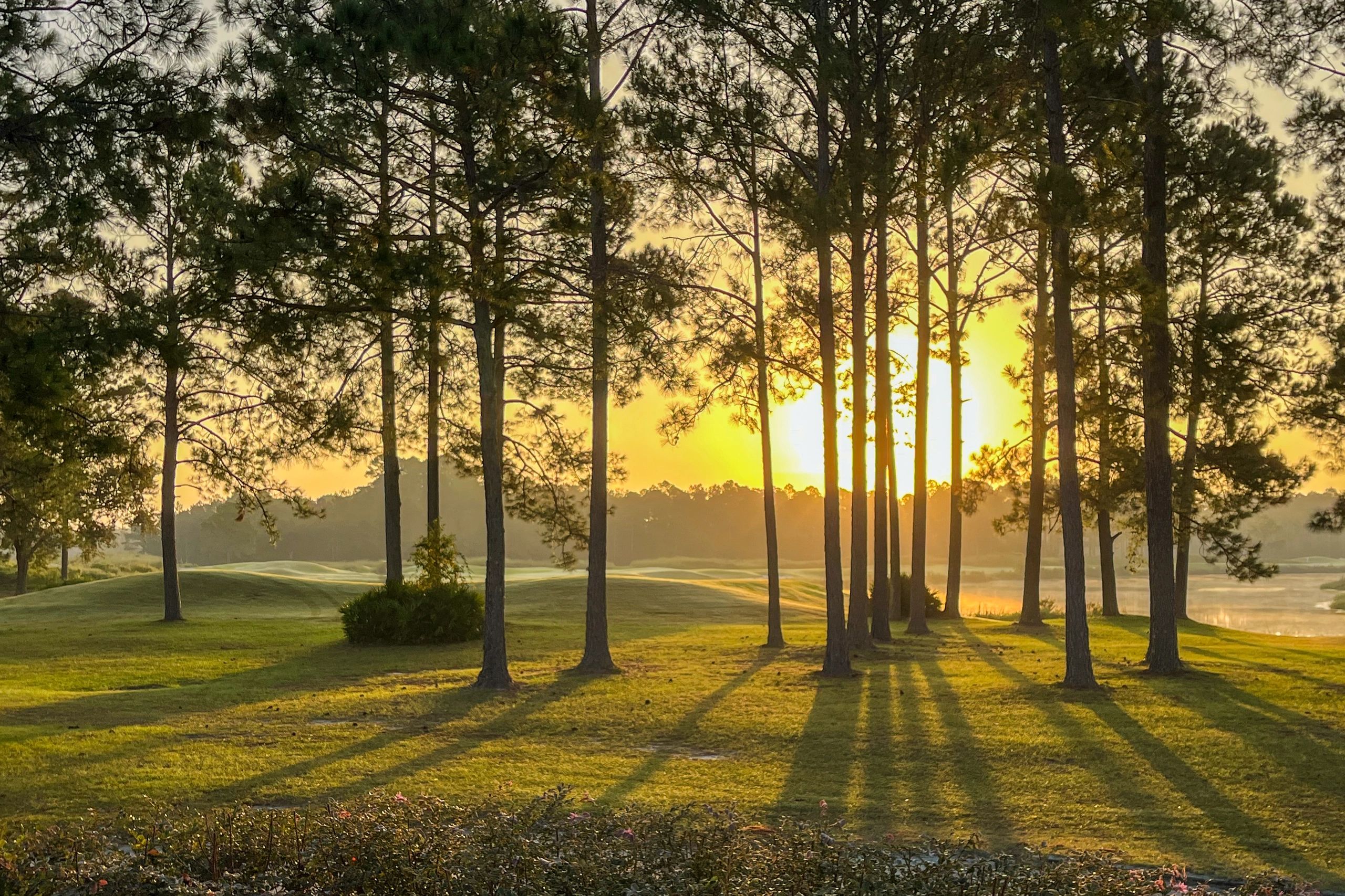 veteran golf training Georgia outdoors group